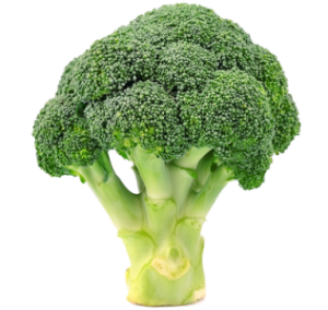 Broccoli PNG-72931